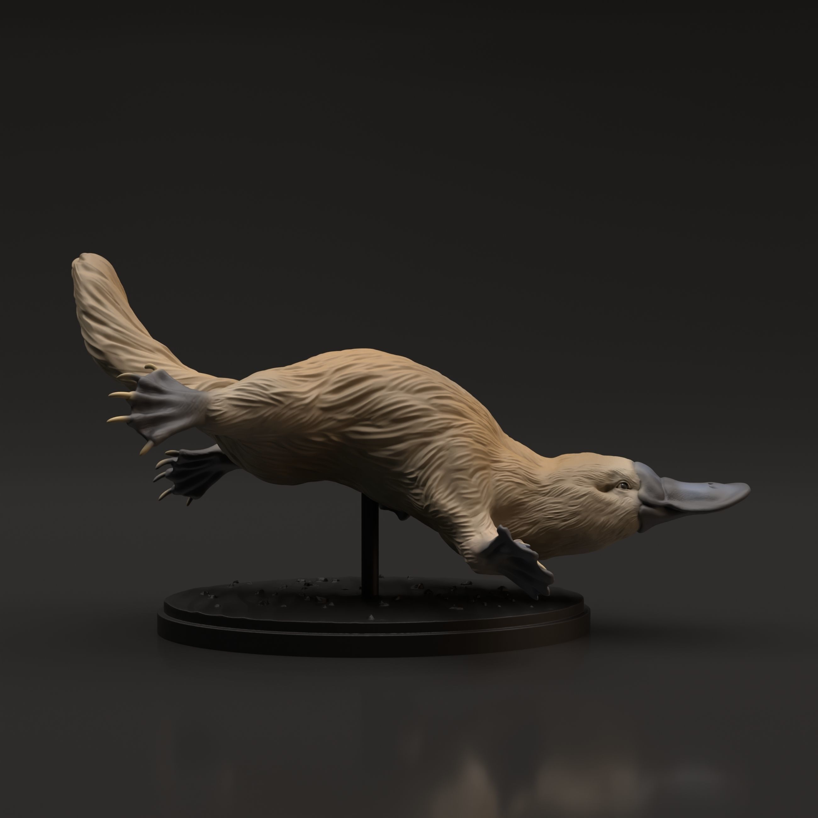 Platypus for 3D Printing 3D print model_5