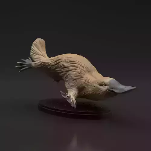 Platypus for 3D Printing 3D print model