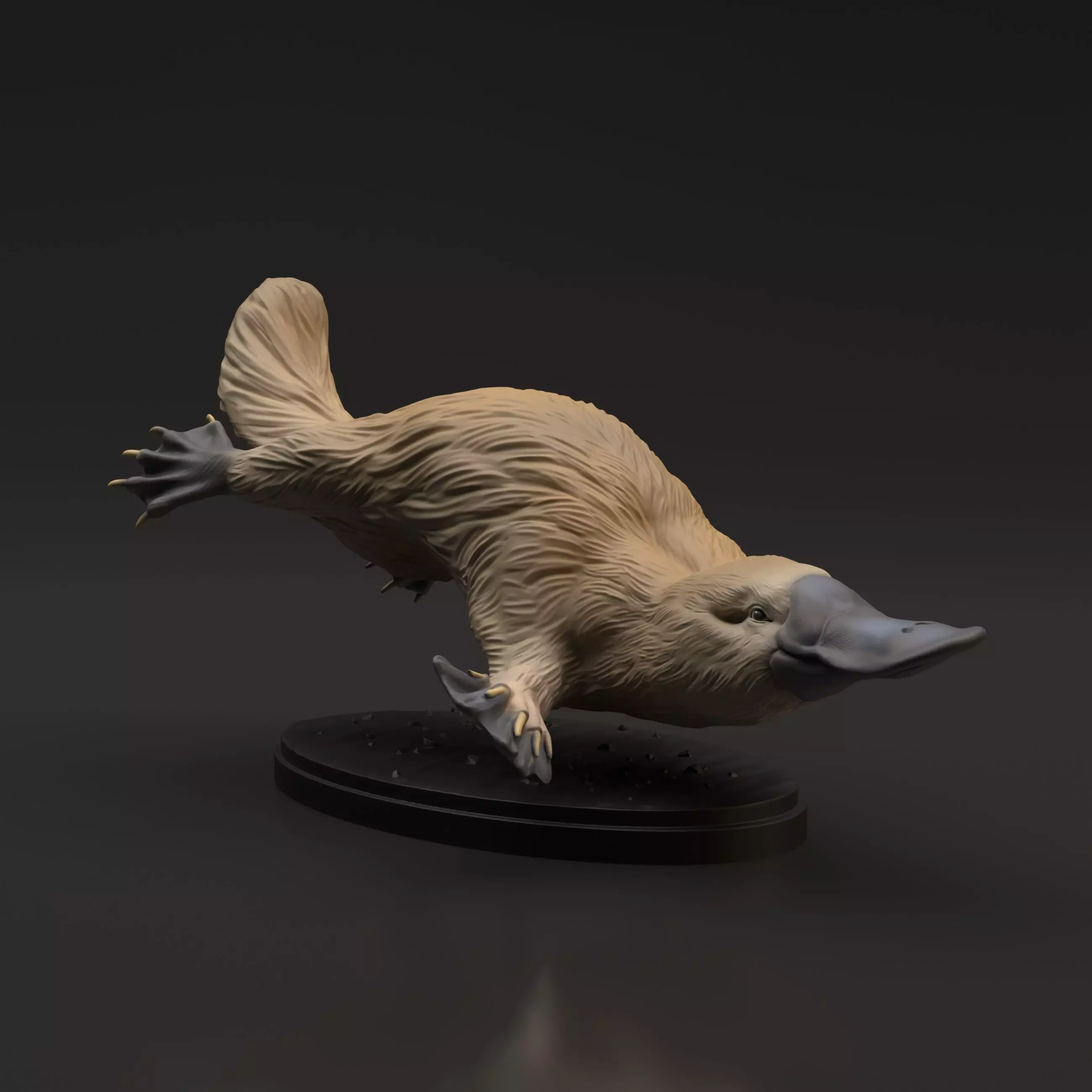 Platypus for 3D Printing 3D print model_0