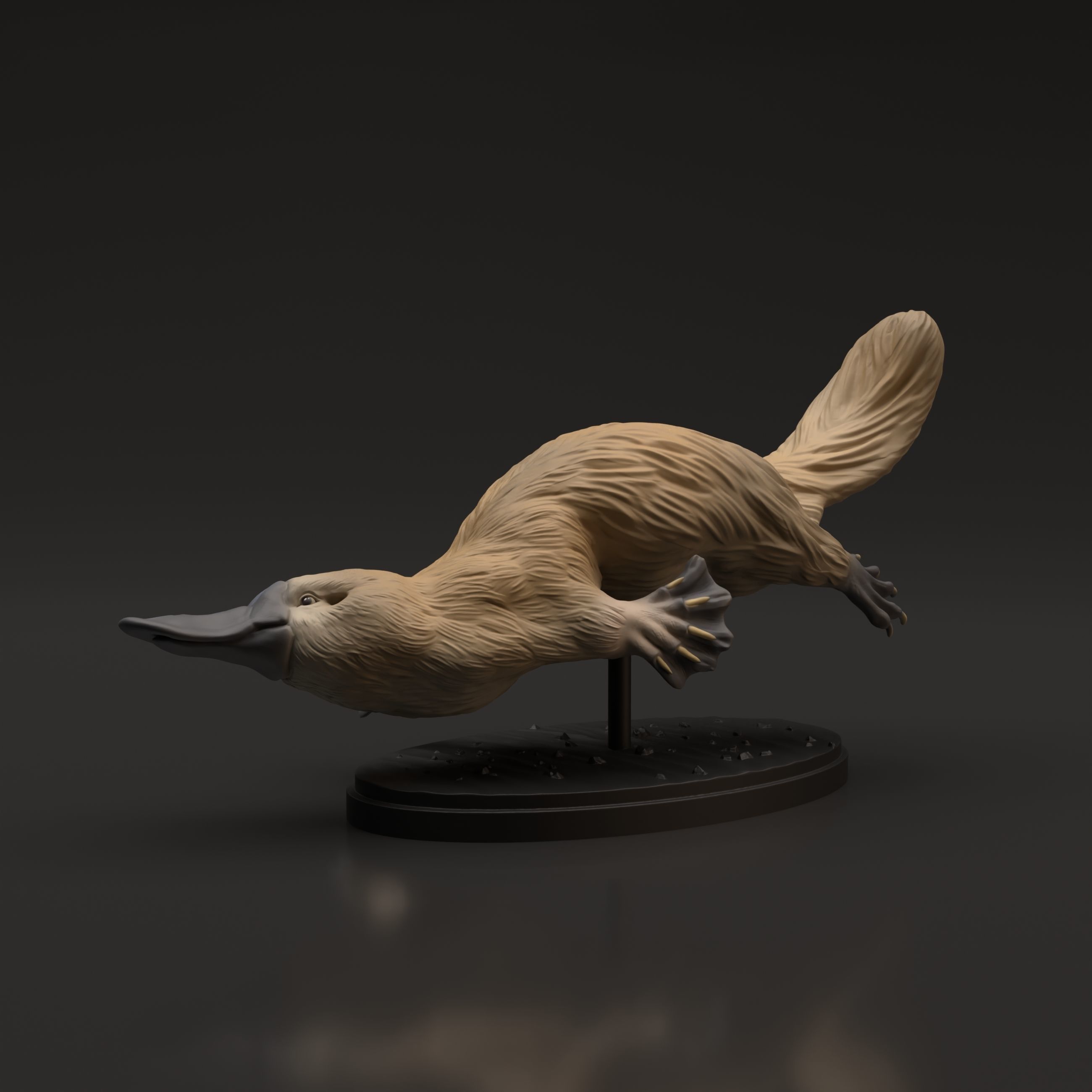 Platypus for 3D Printing 3D print model_2