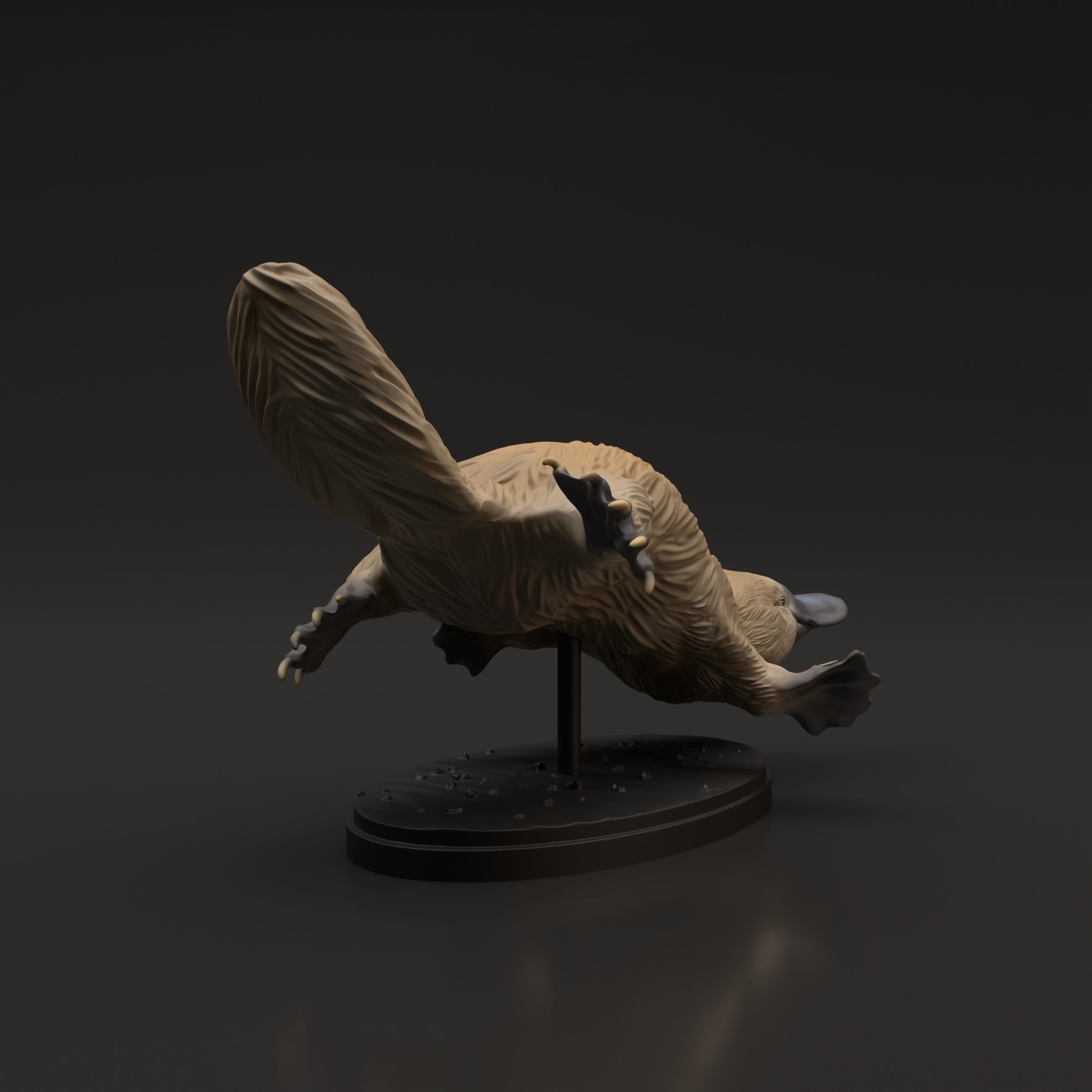 Platypus for 3D Printing 3D print model_4