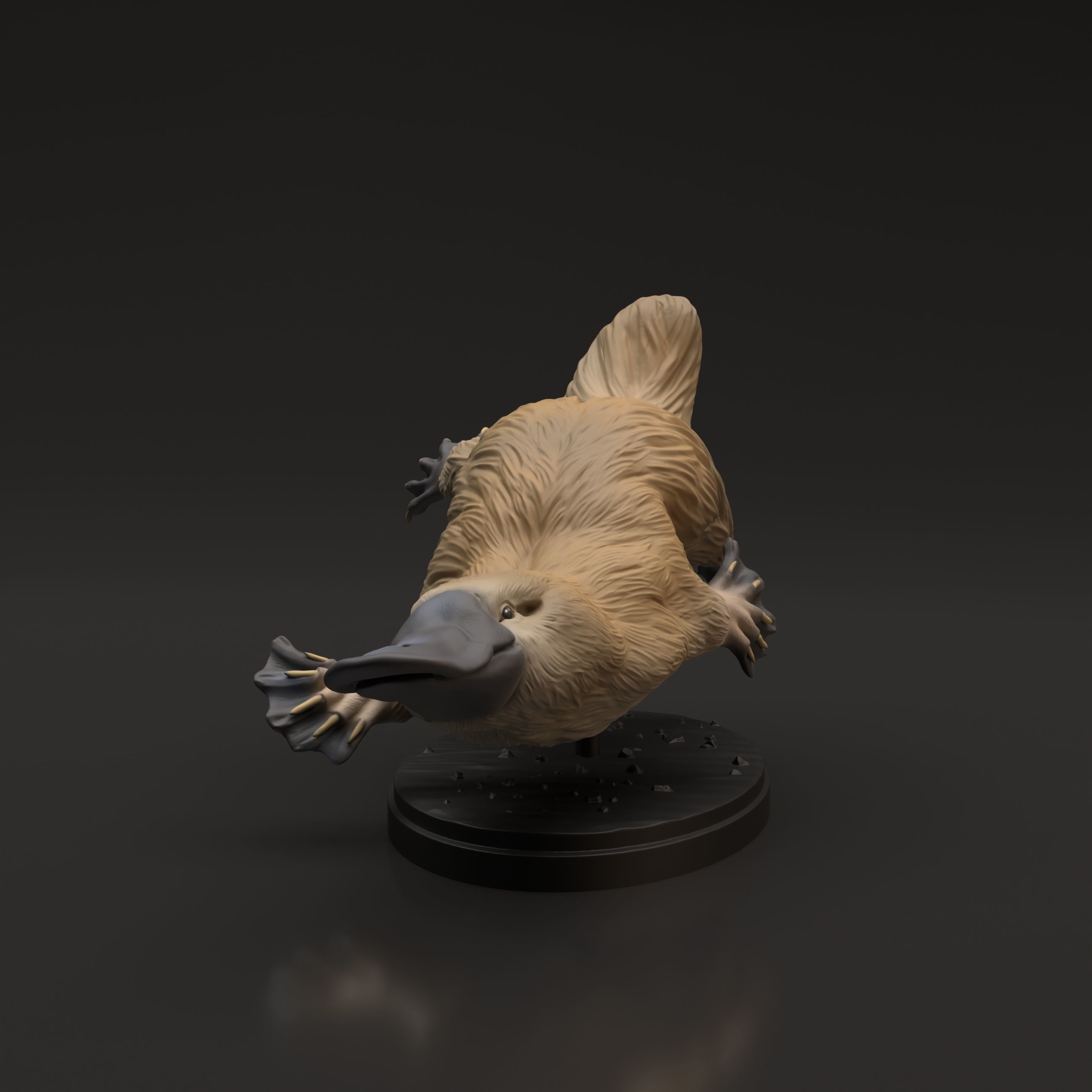 Platypus for 3D Printing 3D print model_1