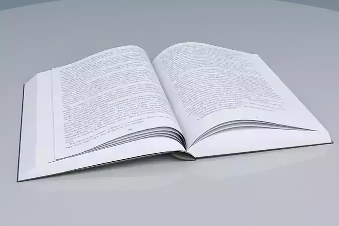 Open Book 3D model