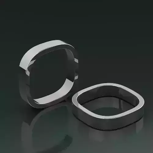 Ring Model 1499