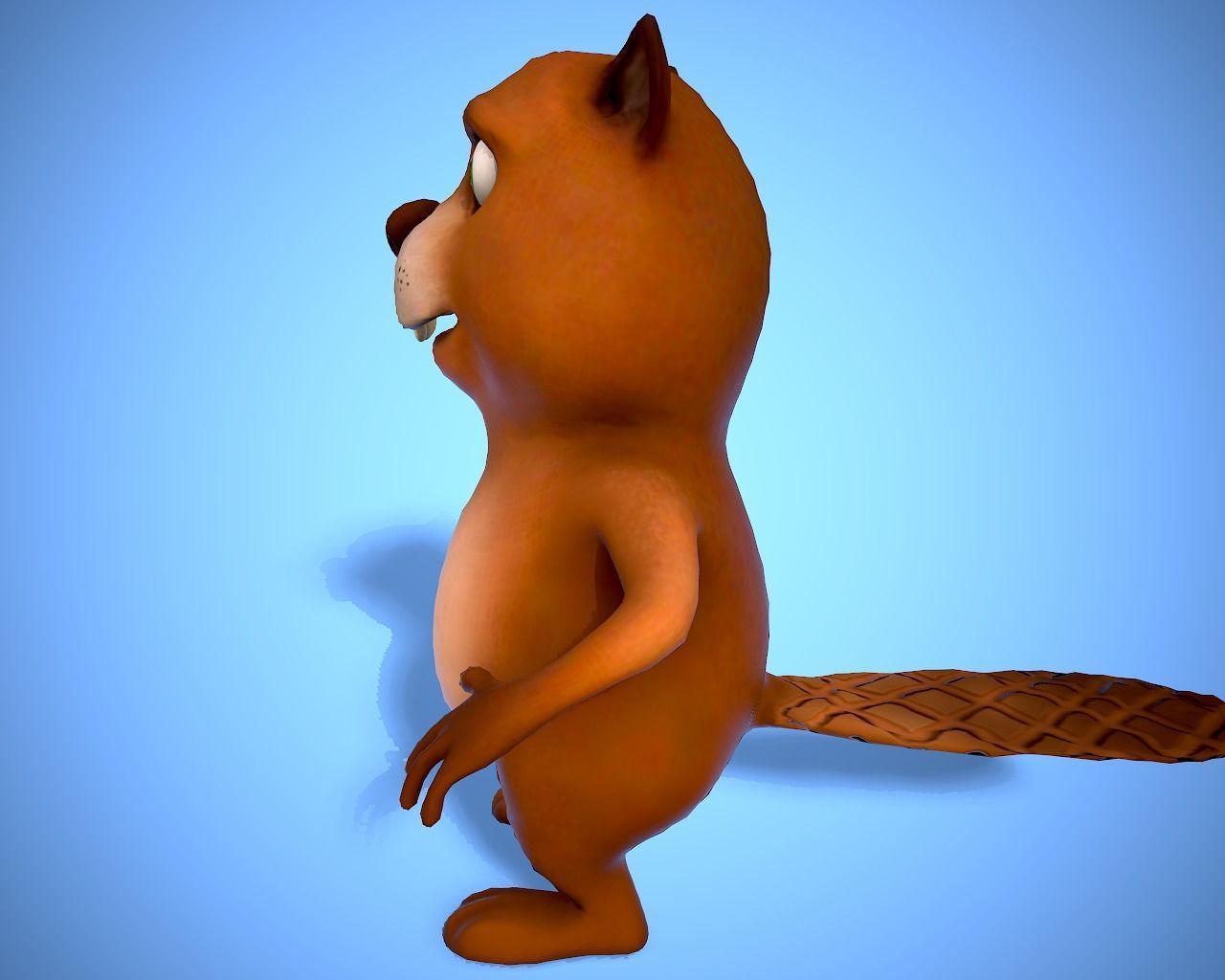 cartoon beaver Low-poly 3D model_9