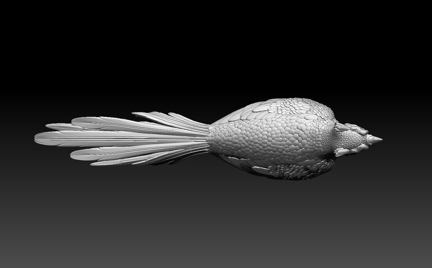 pheasant bird 3D print model_4