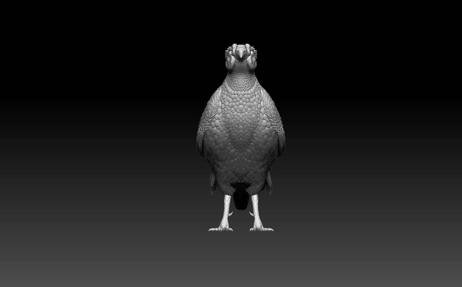 pheasant bird 3D print model_8