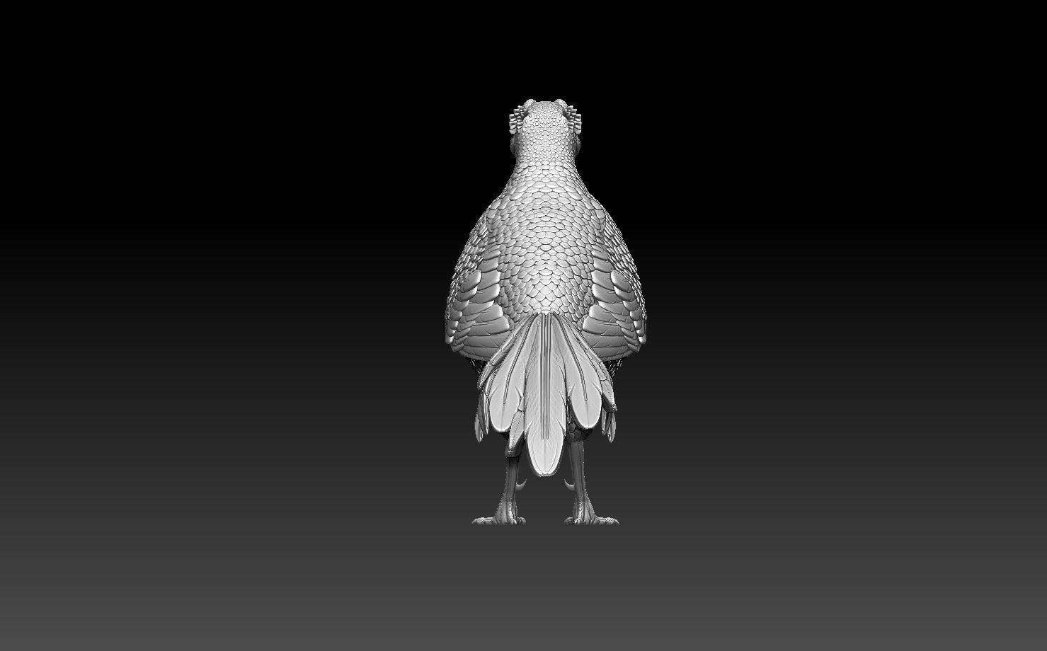 pheasant bird 3D print model_5