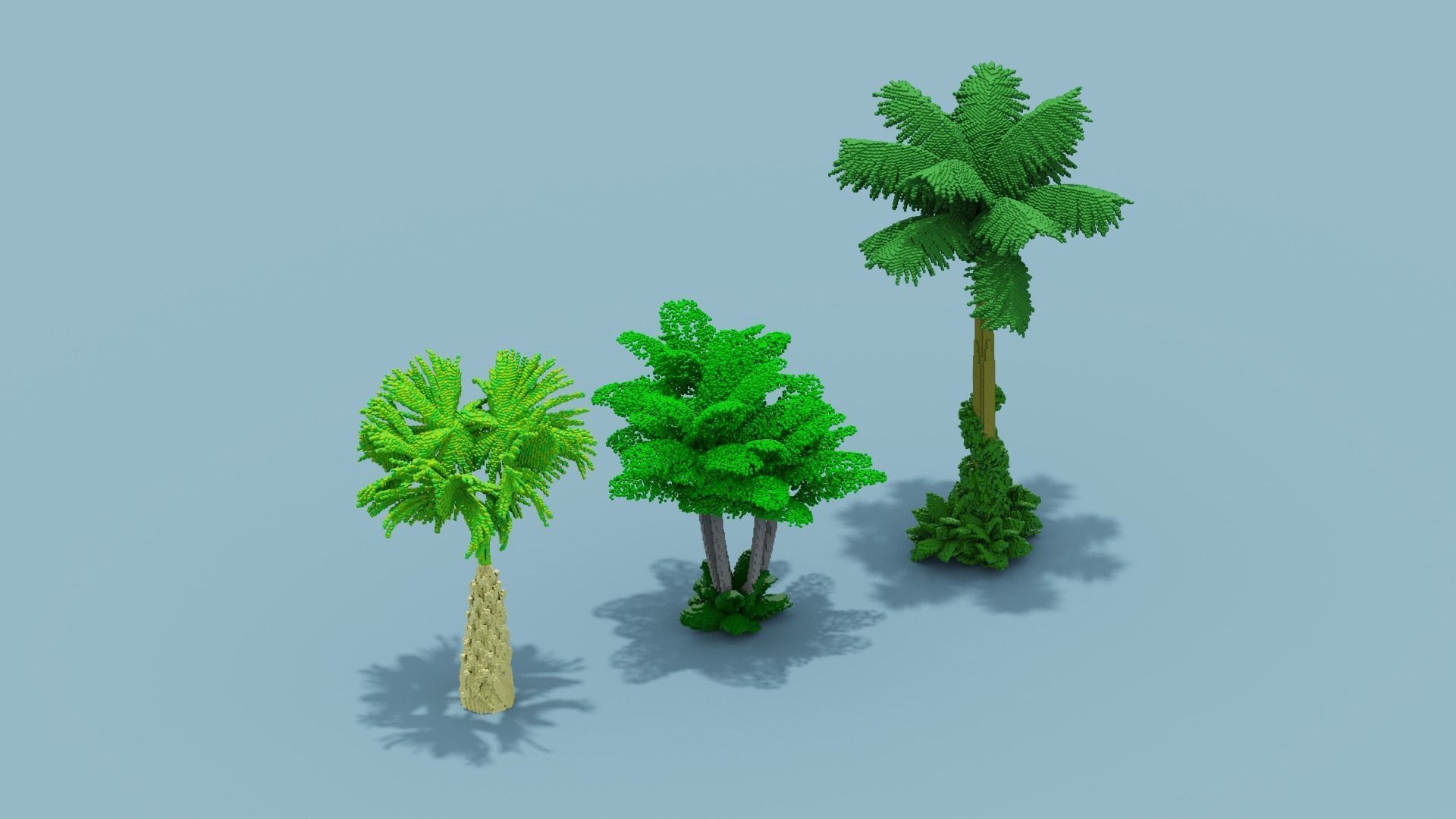 Voxel Plants Collection Low-poly 3D model_6