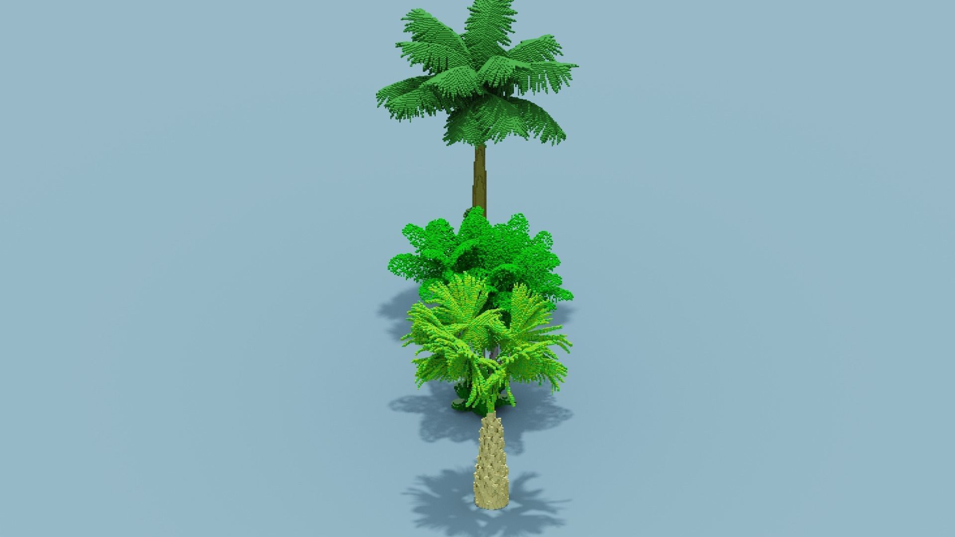 Voxel Plants Collection Low-poly 3D model_29