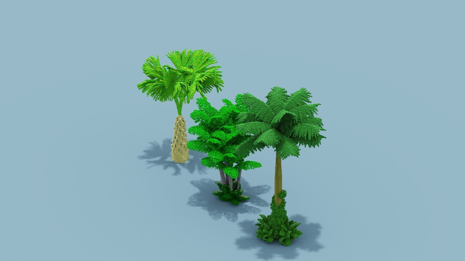 Voxel Plants Collection Low-poly 3D model_33