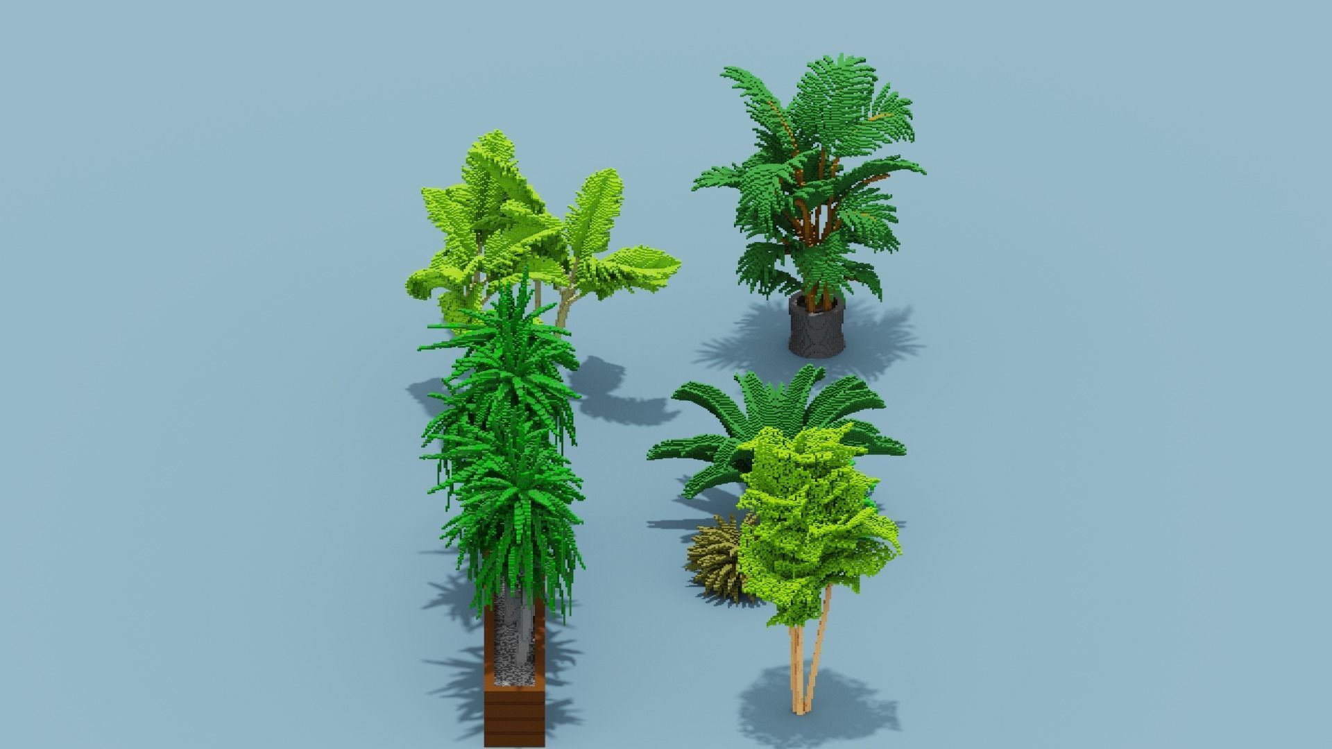 Voxel Plants Collection Low-poly 3D model_19