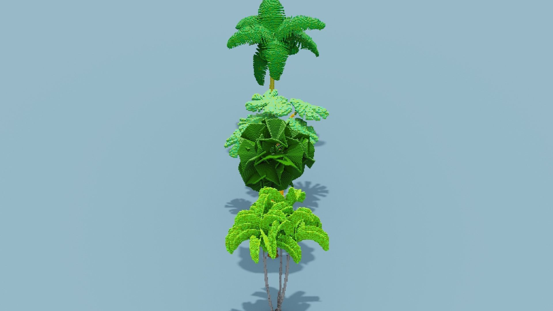 Voxel Plants Collection Low-poly 3D model_22