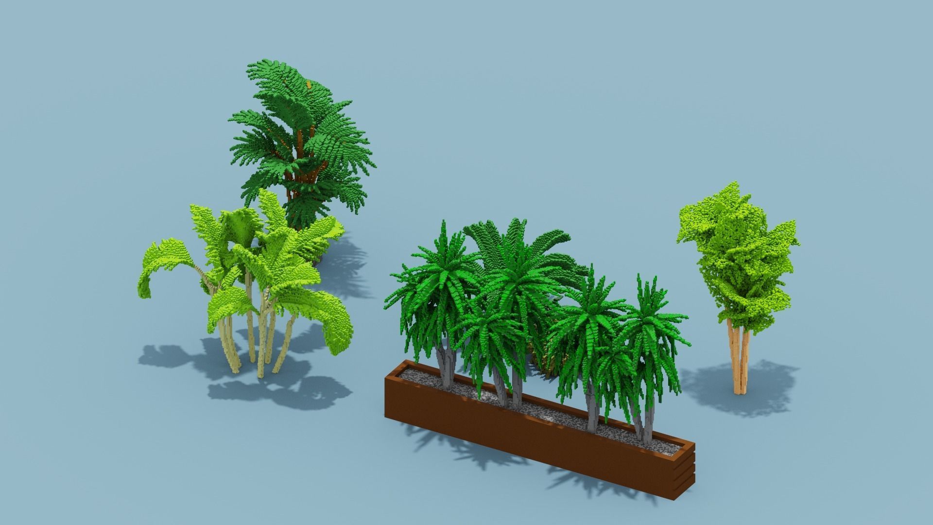 Voxel Plants Collection Low-poly 3D model_17
