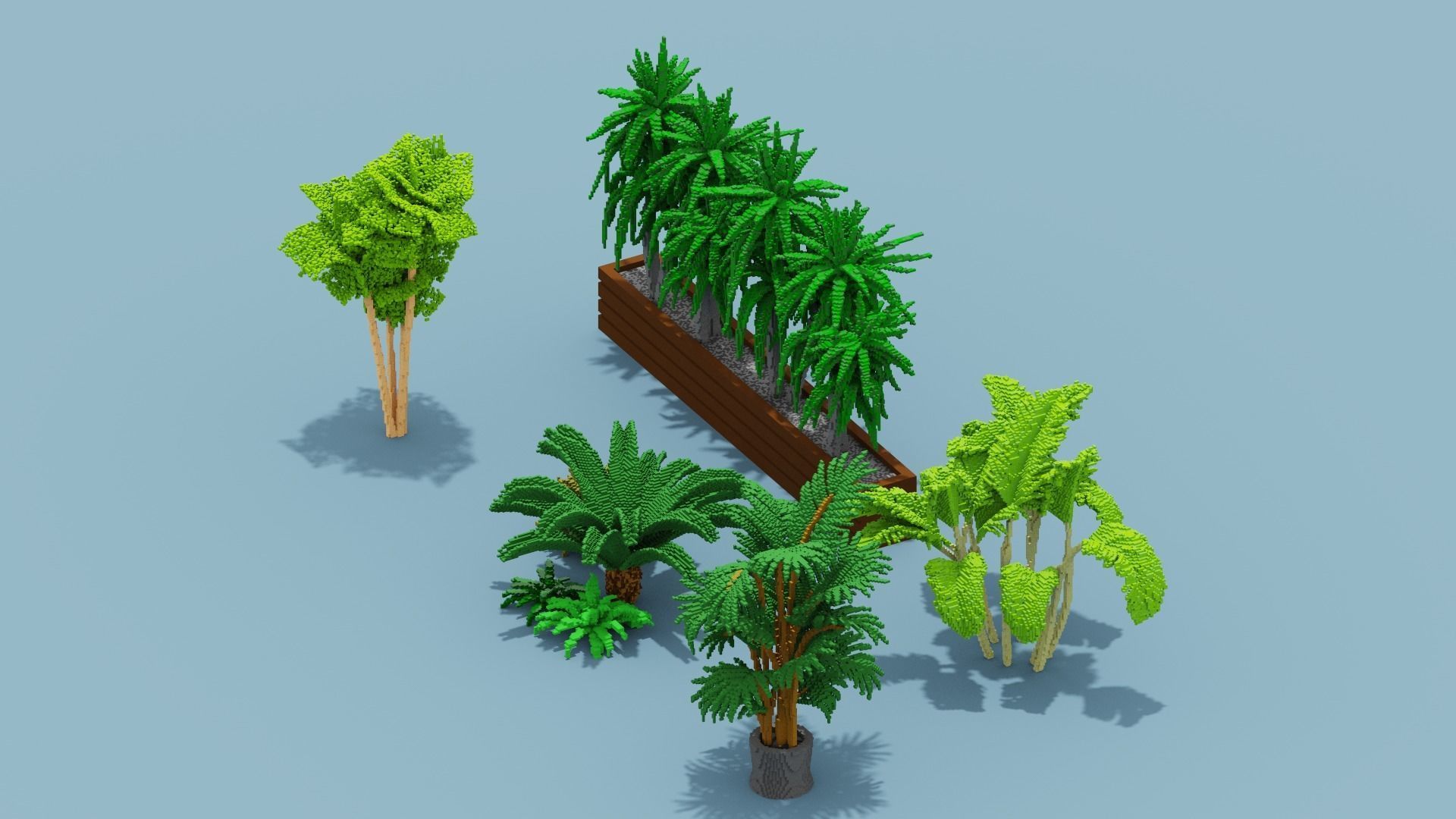 Voxel Plants Collection Low-poly 3D model_11