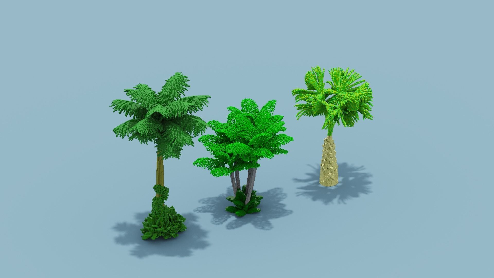 Voxel Plants Collection Low-poly 3D model_9