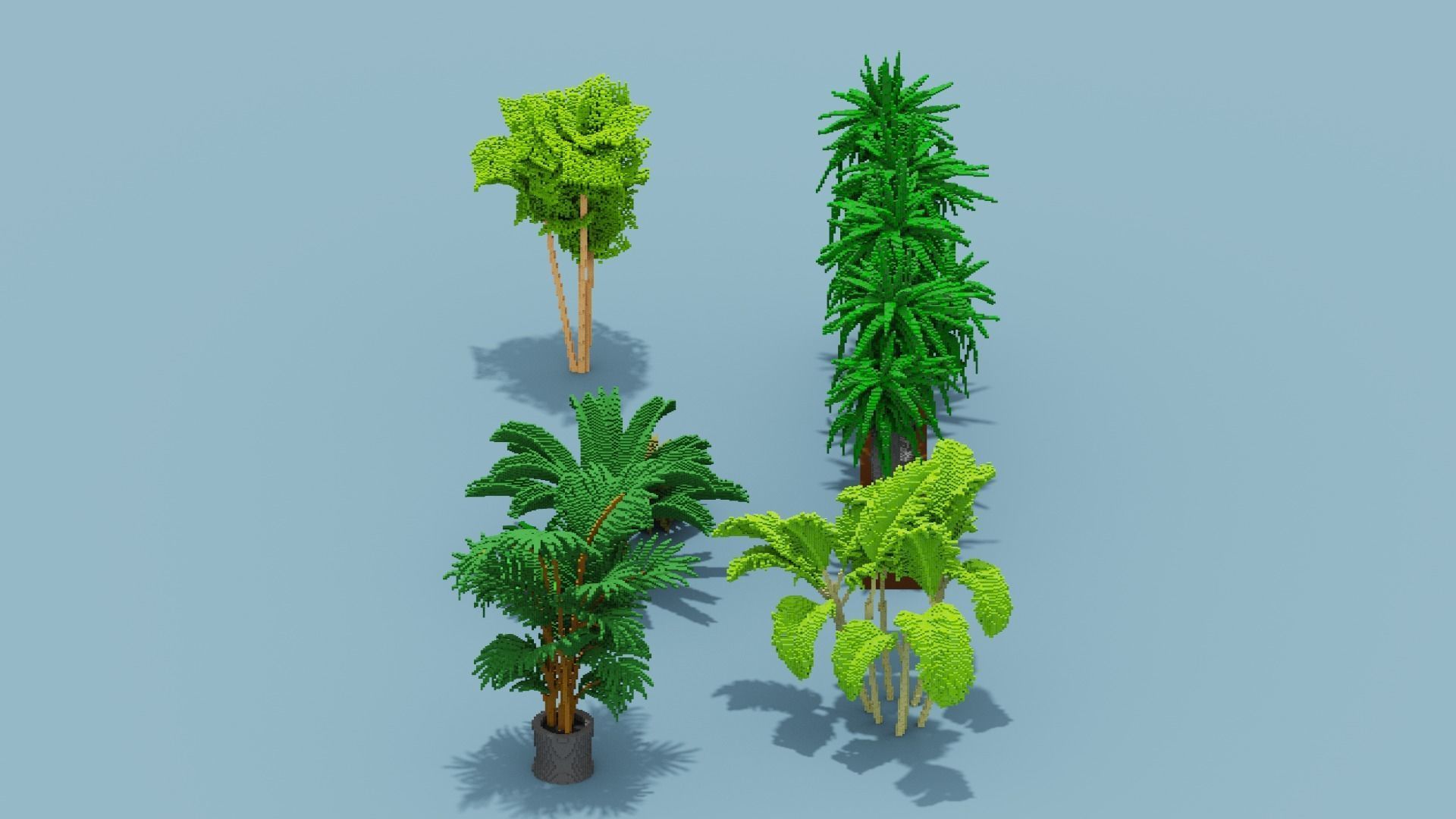 Voxel Plants Collection Low-poly 3D model_12