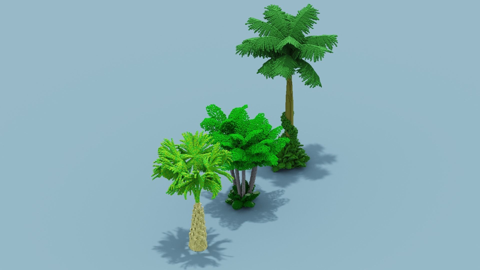 Voxel Plants Collection Low-poly 3D model_30