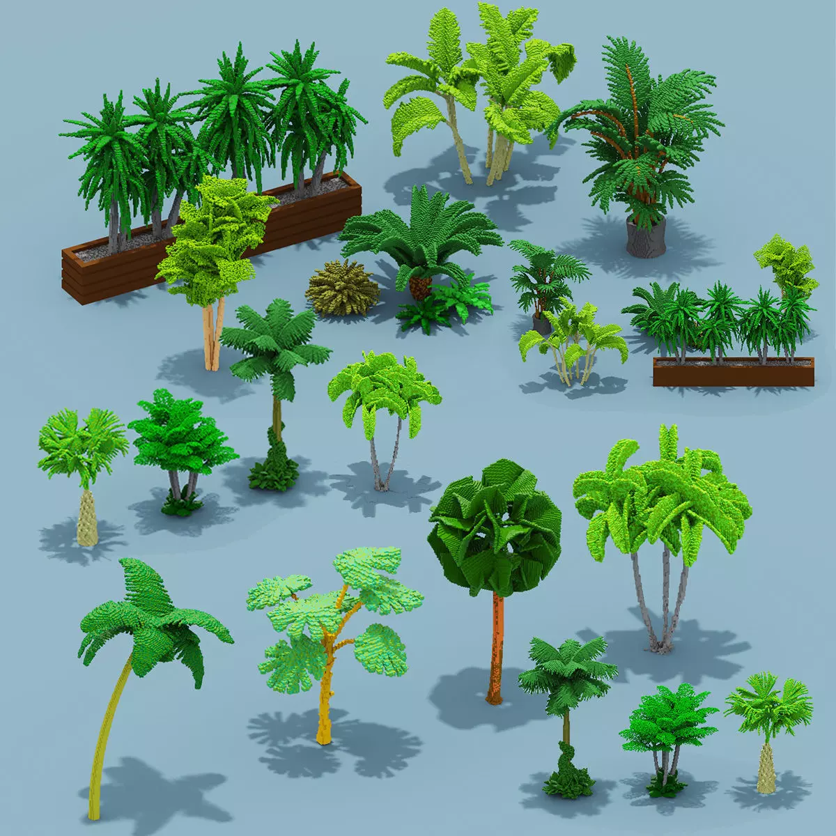 Voxel Plants Collection Low-poly 3D model_0