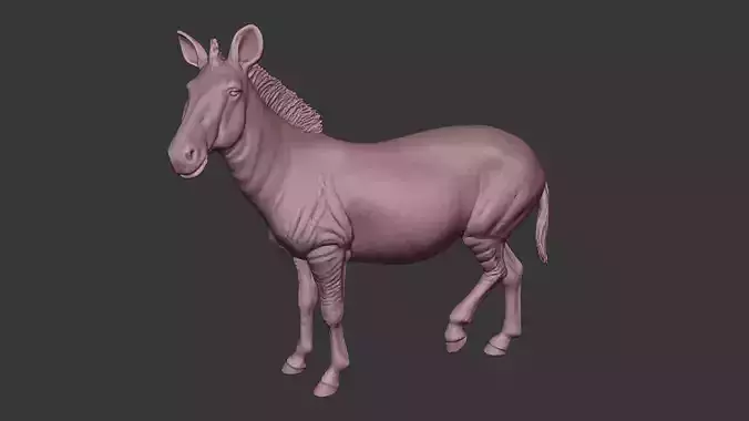 Zebra 3D Model posed Non-rigged
