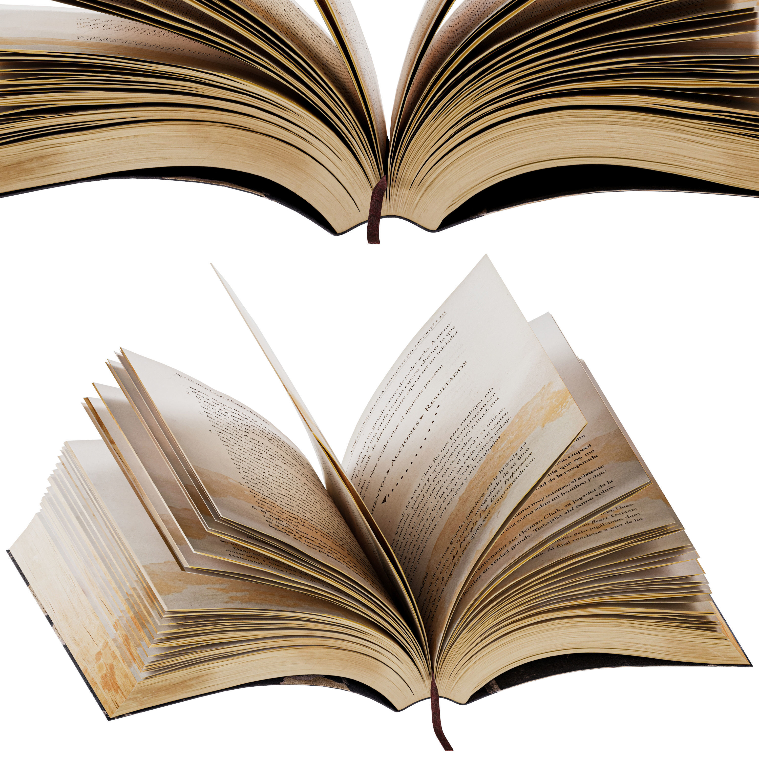 Set of Books 8 - Opened books 3D model_2