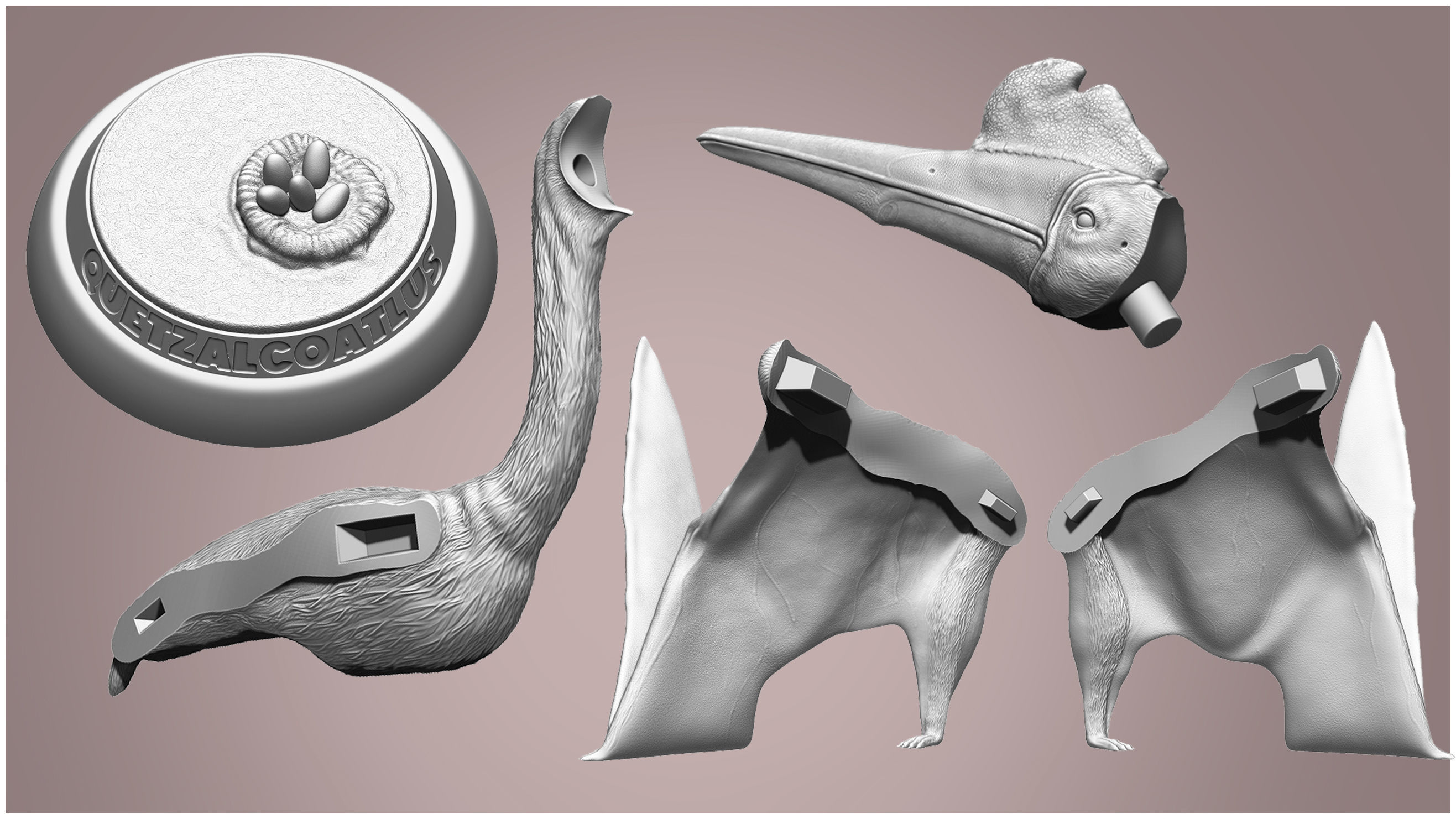 Quetzalcoatlus for 3D Printing 3D print model_3