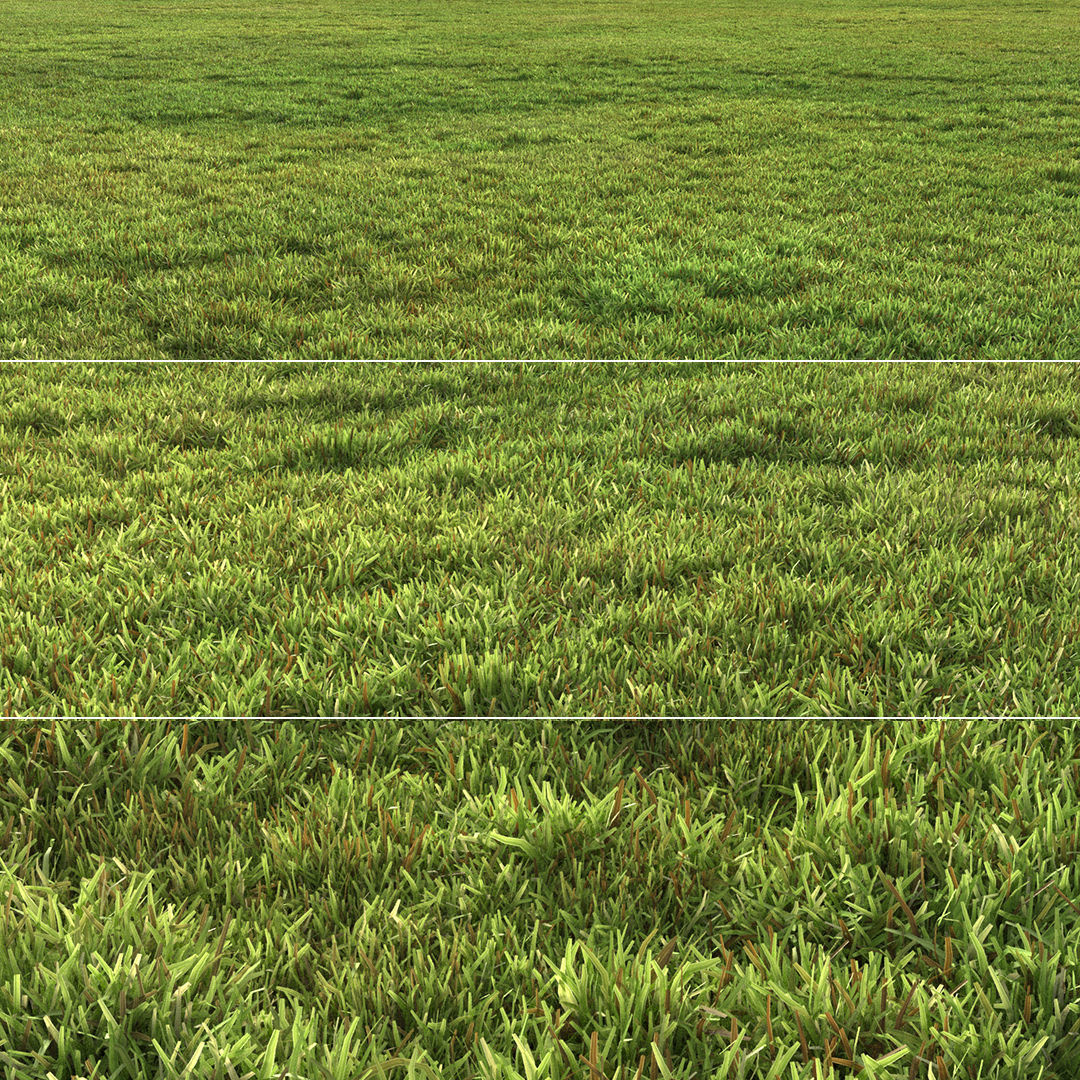 Flat grass 2 3D model_2
