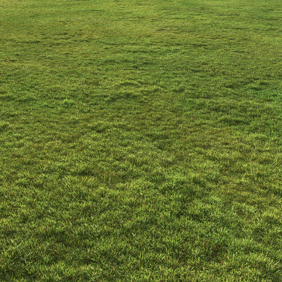 Flat grass 2 3D model_3