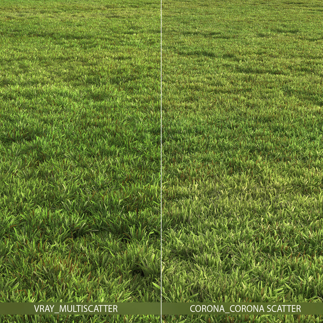 Flat grass 2 3D model_1