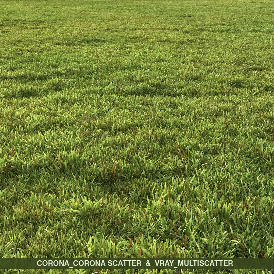 Flat grass 2 3D model_0