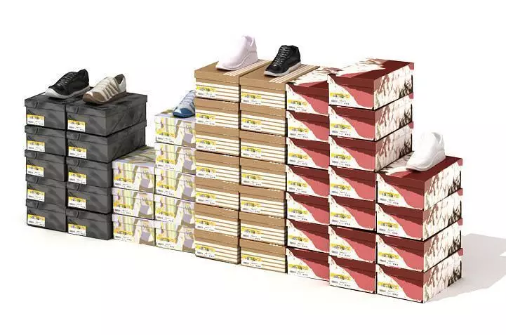 Shoe Boxes And Shoe Display 3D model_0