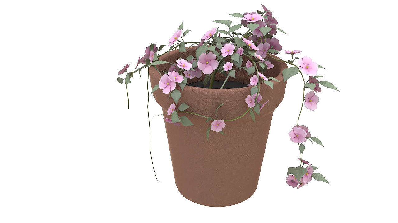 Pink flowers in clay pot 3D model_5