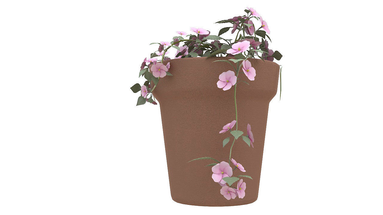 Pink flowers in clay pot 3D model_6