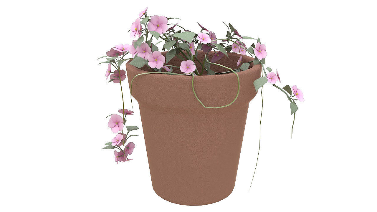 Pink flowers in clay pot 3D model_2