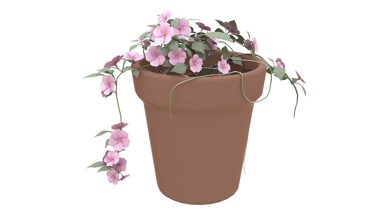 Pink flowers in clay pot 3D model_1