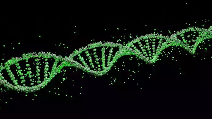 DNA low-poligonal Free 3D model