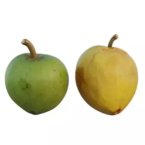 Lucuma two mangoes