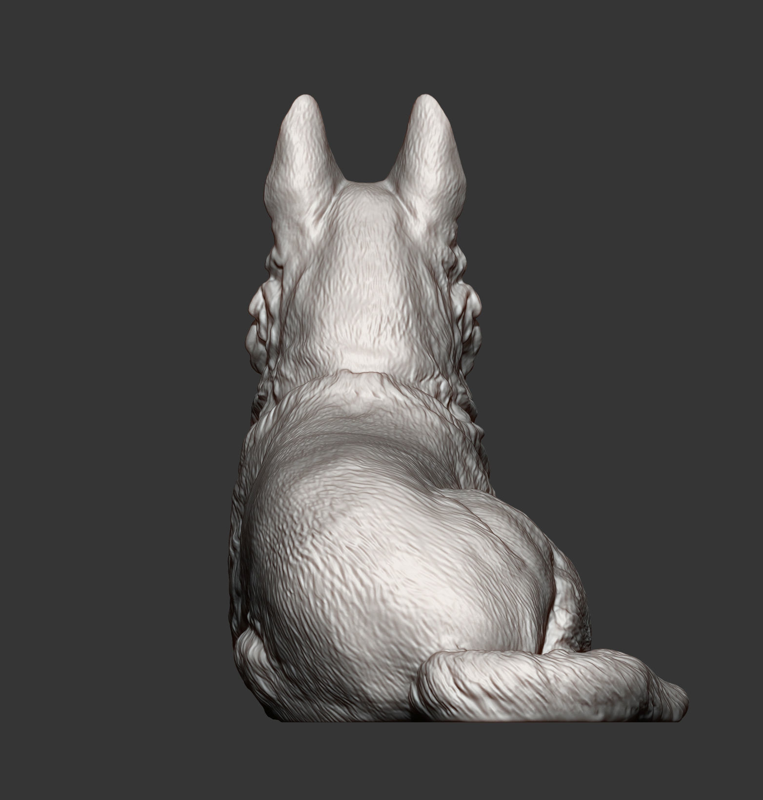 German Shepherd 3D print model 3D print model_7