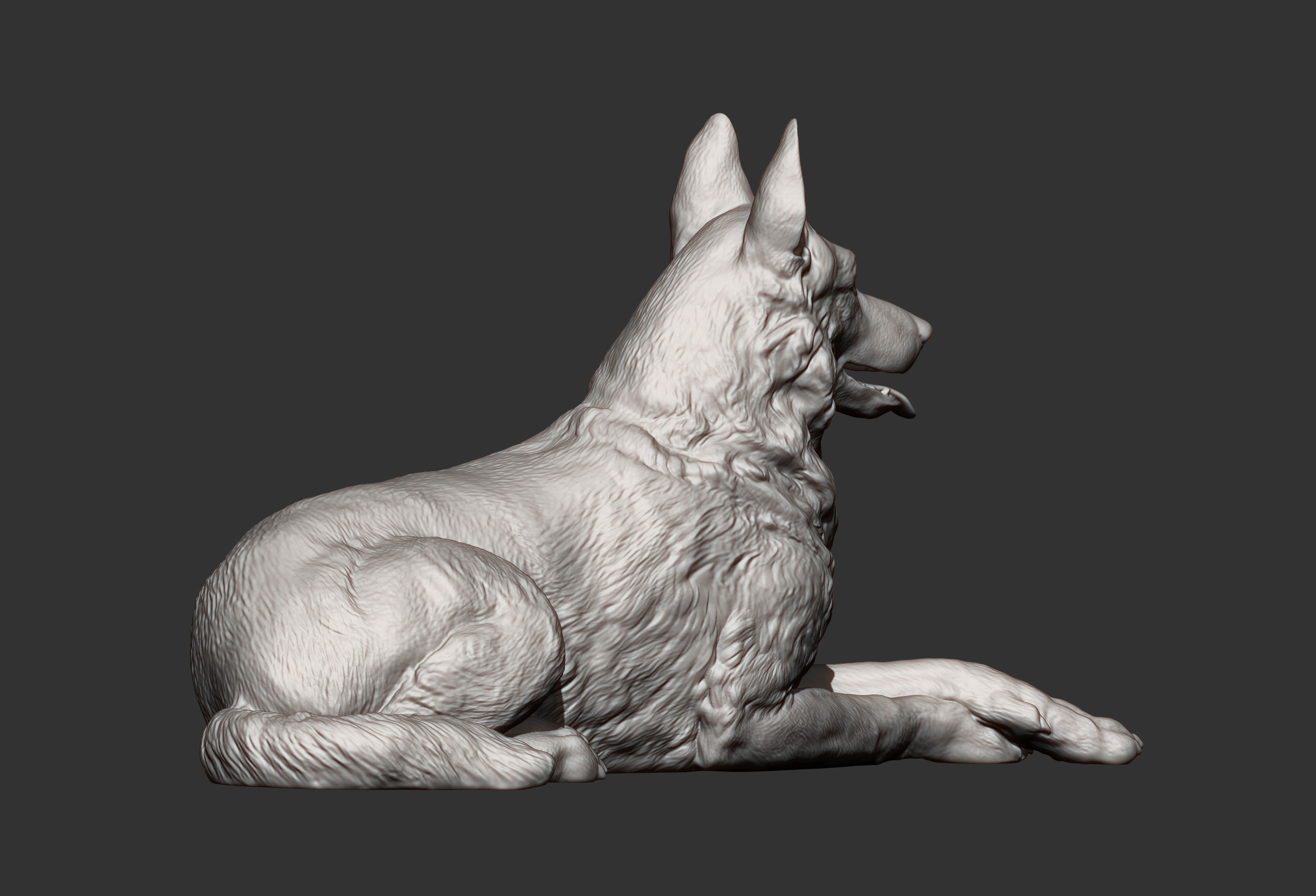 German Shepherd 3D print model 3D print model_12