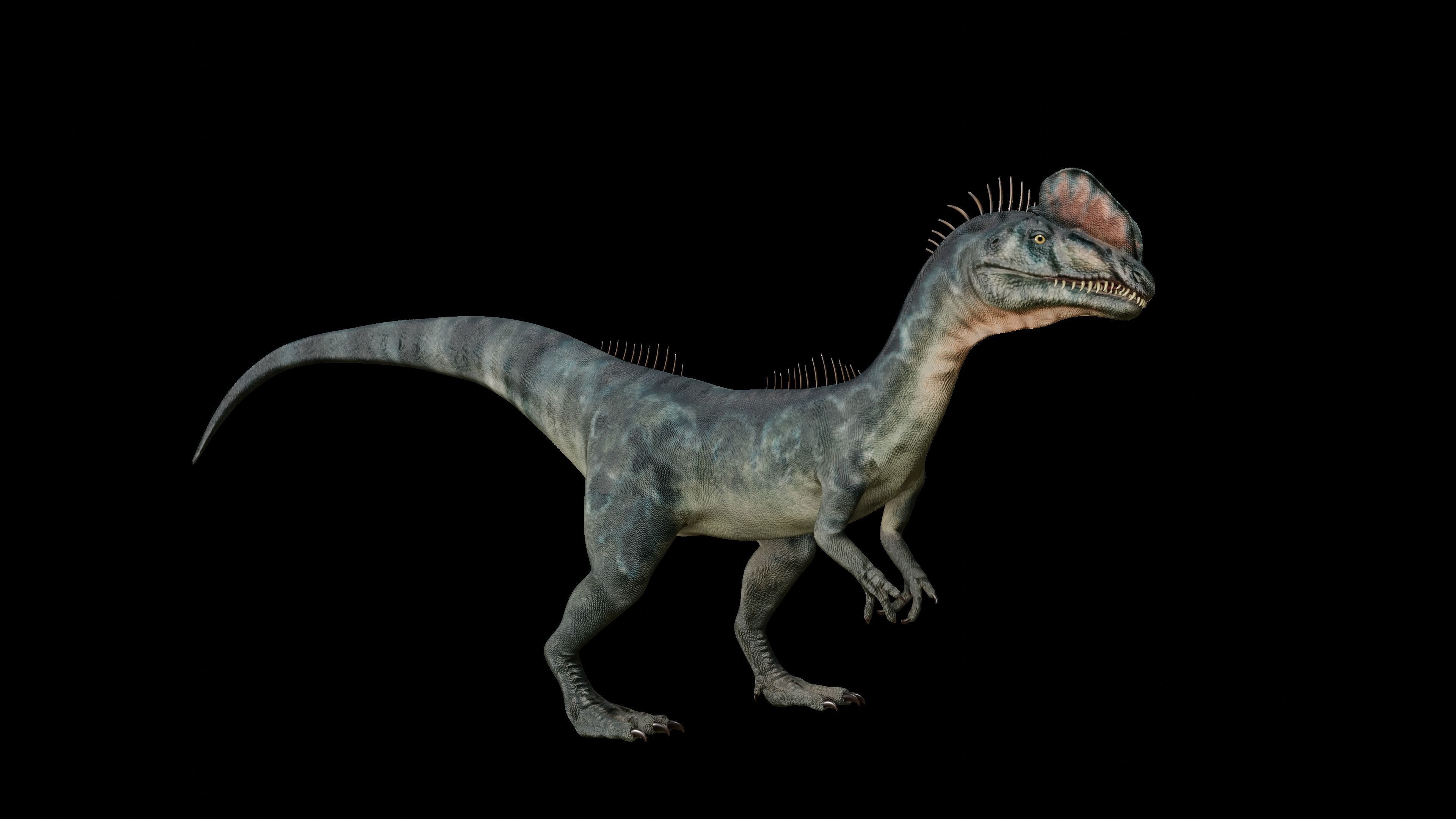 Dilophosaurus 3D Model dinosaur Low-poly 3D model_24