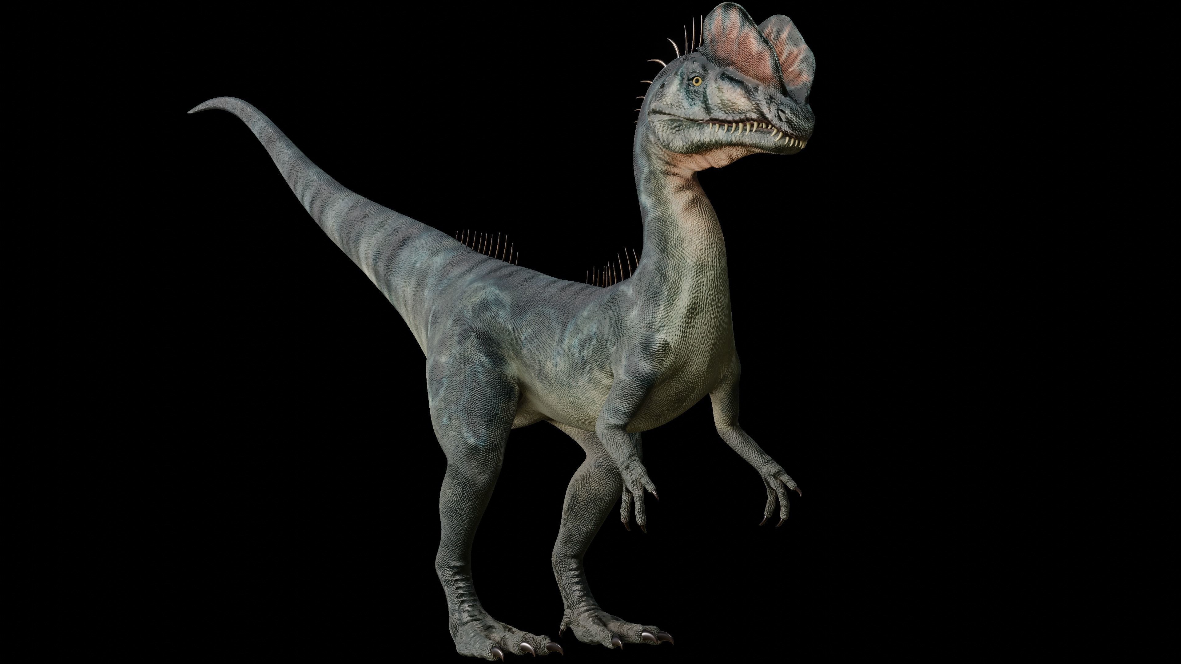Dilophosaurus 3D Model dinosaur Low-poly 3D model_7