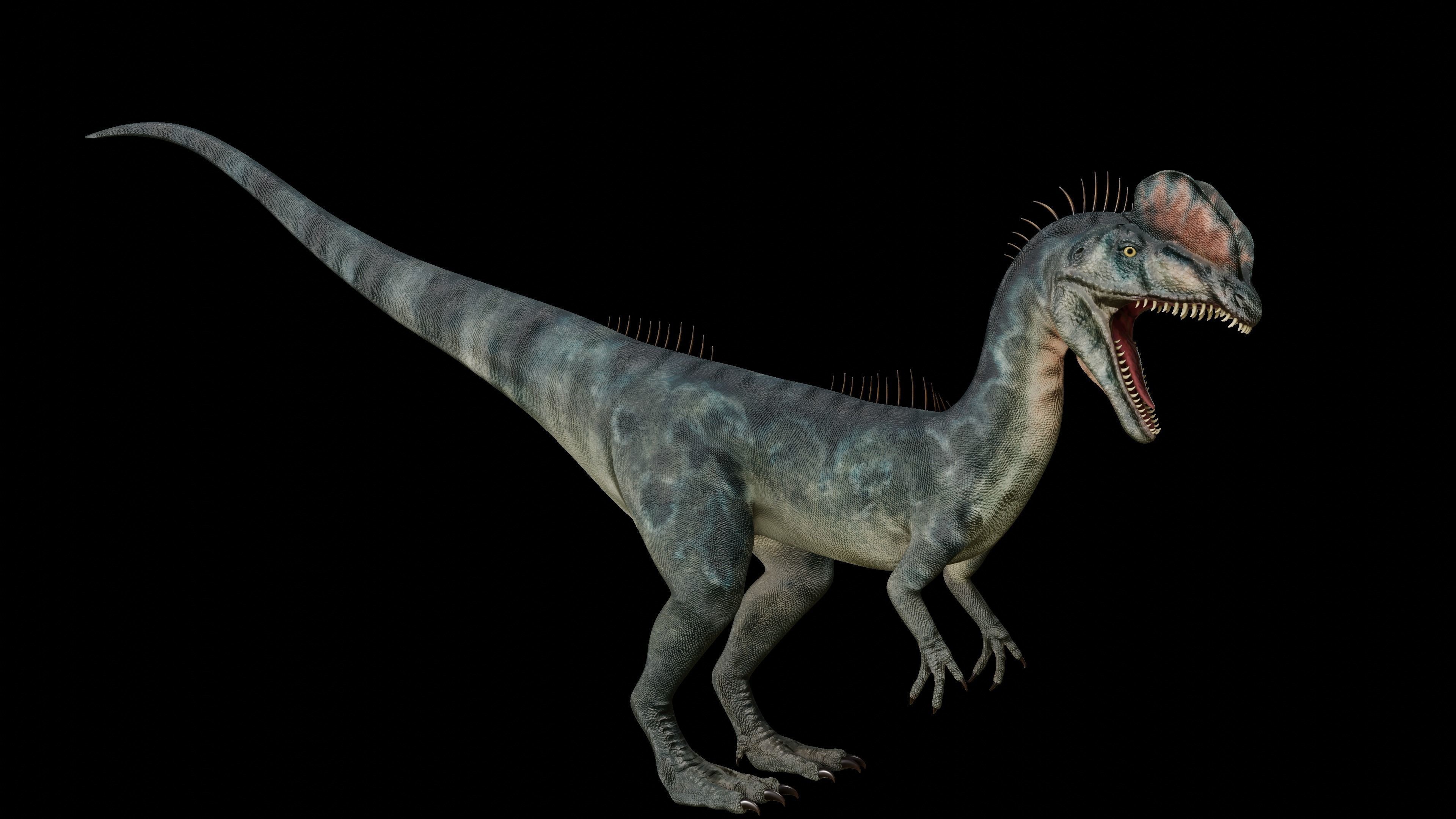 Dilophosaurus 3D Model dinosaur Low-poly 3D model_8