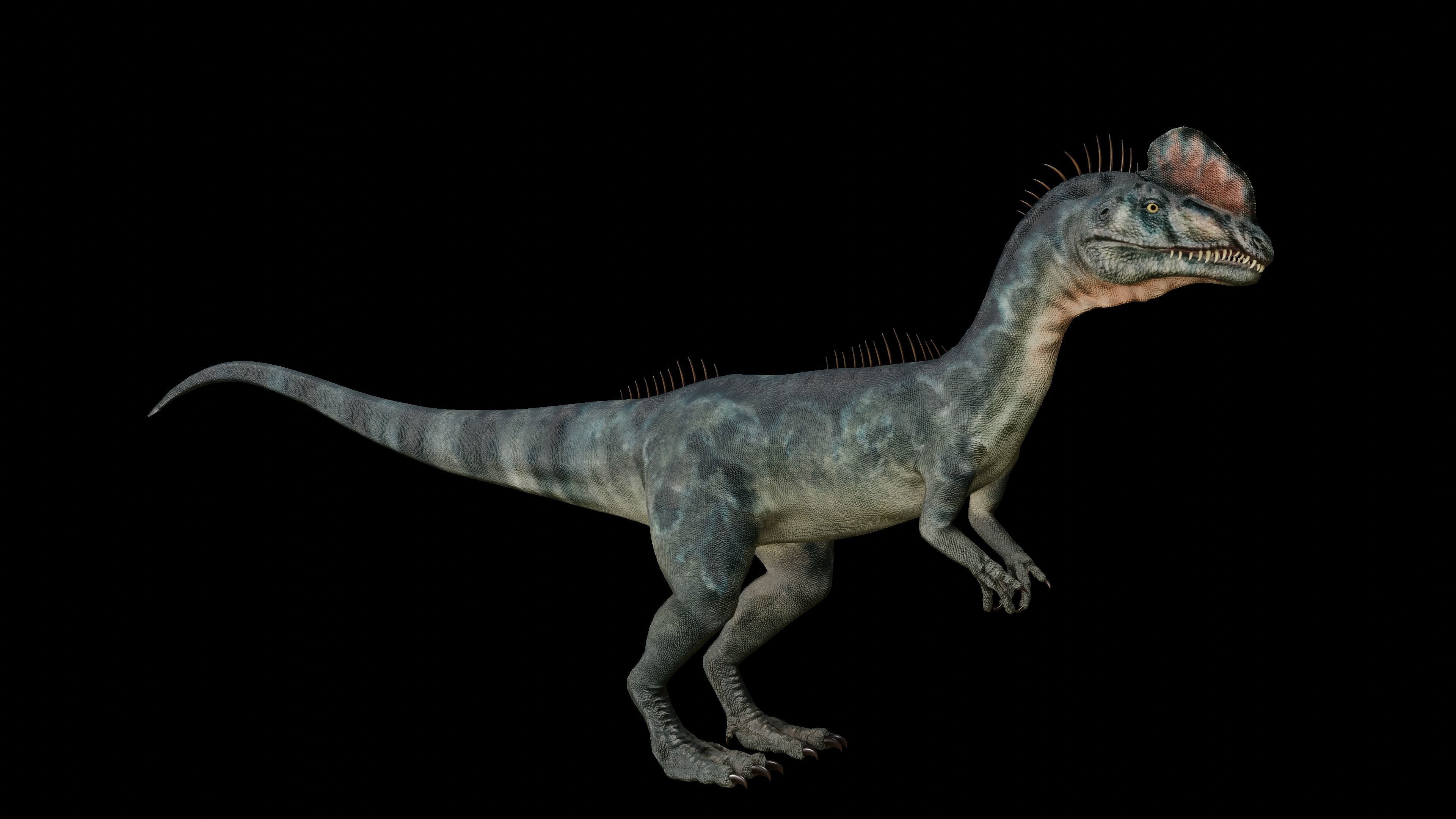 Dilophosaurus 3D Model dinosaur Low-poly 3D model_43