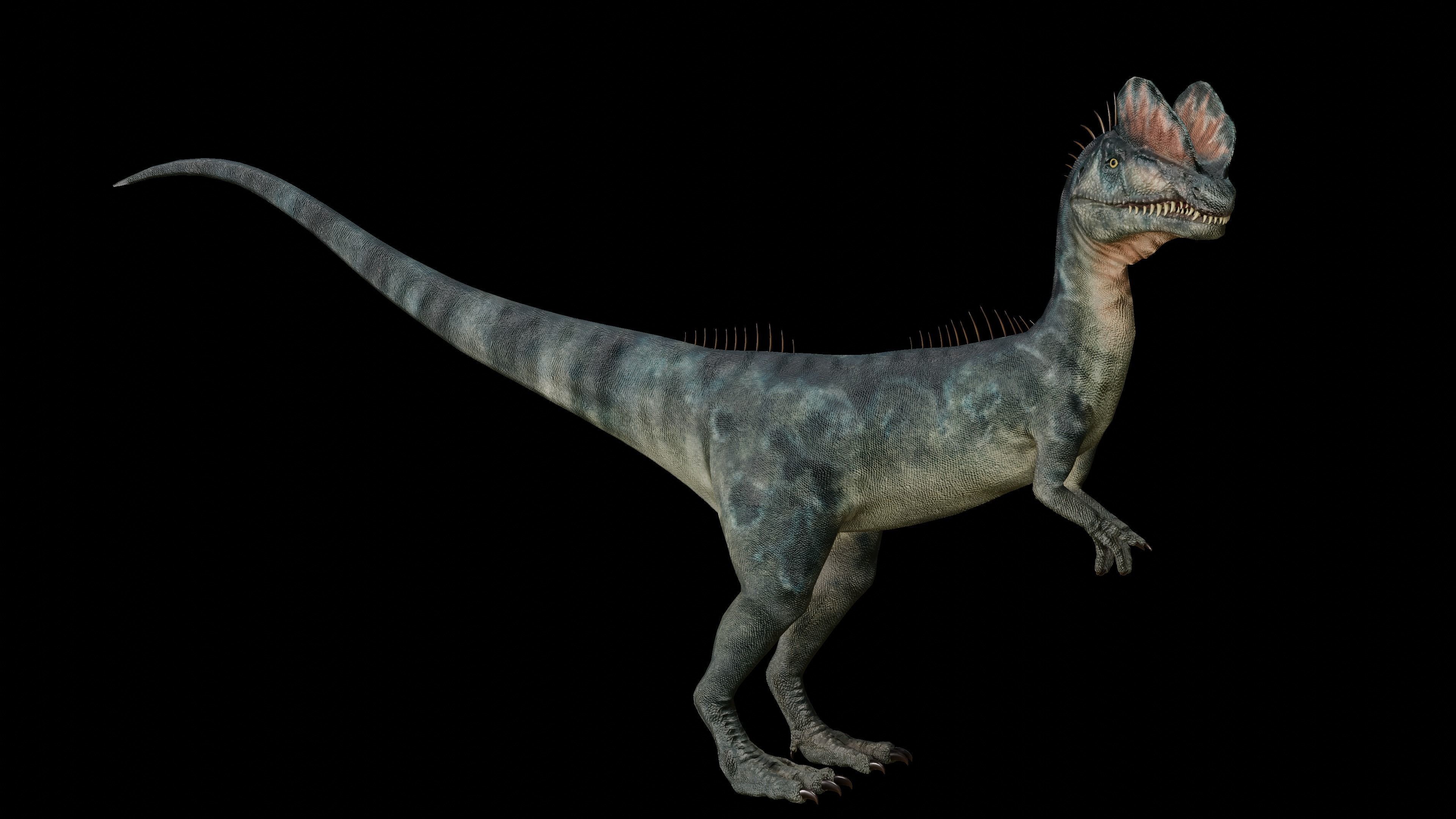 Dilophosaurus 3D Model dinosaur Low-poly 3D model_41