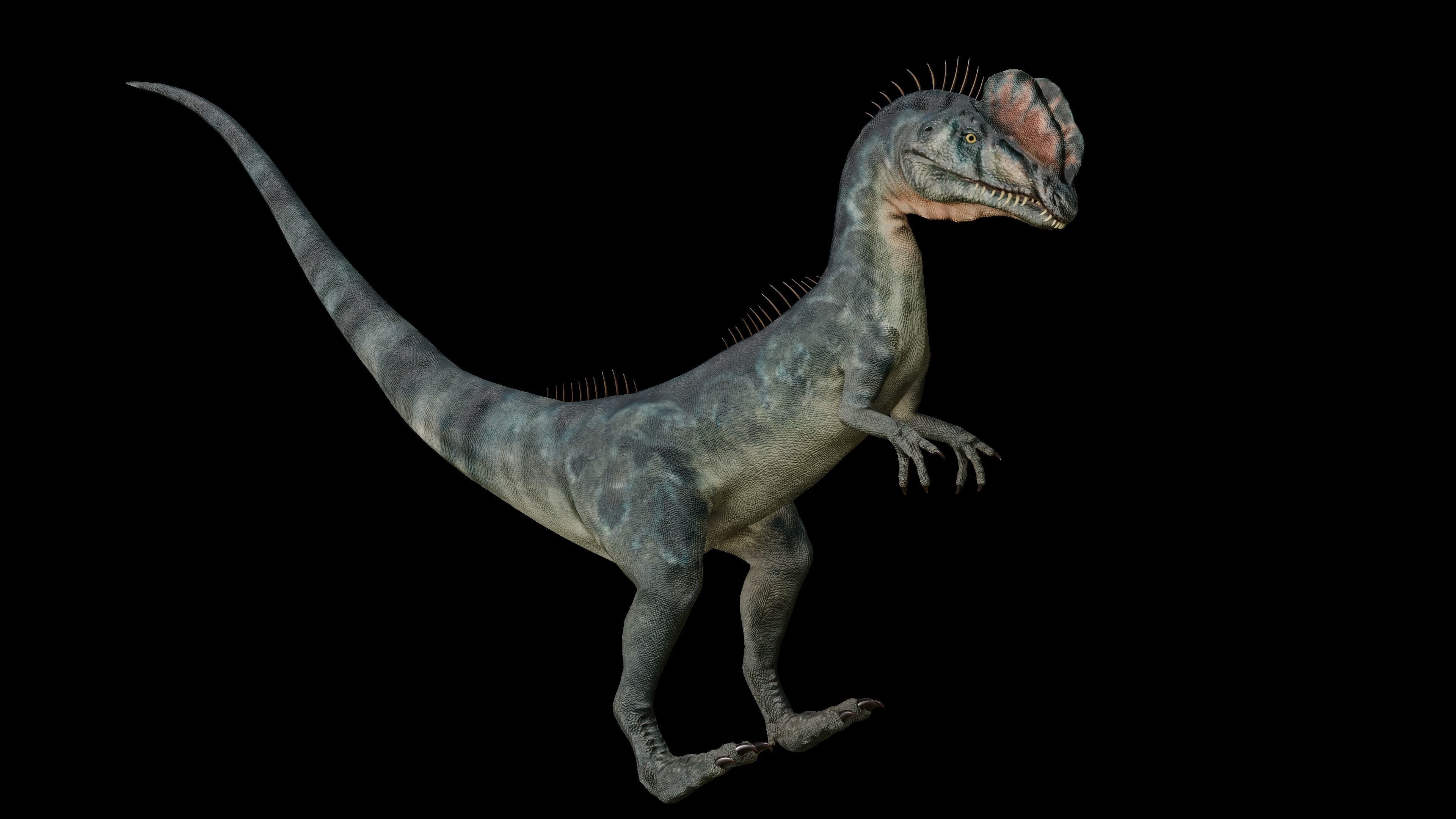 Dilophosaurus 3D Model dinosaur Low-poly 3D model_10