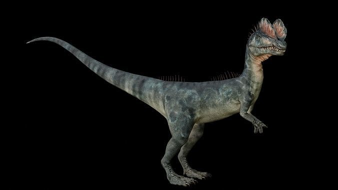 Dilophosaurus 3D Model dinosaur Low-poly 3D model