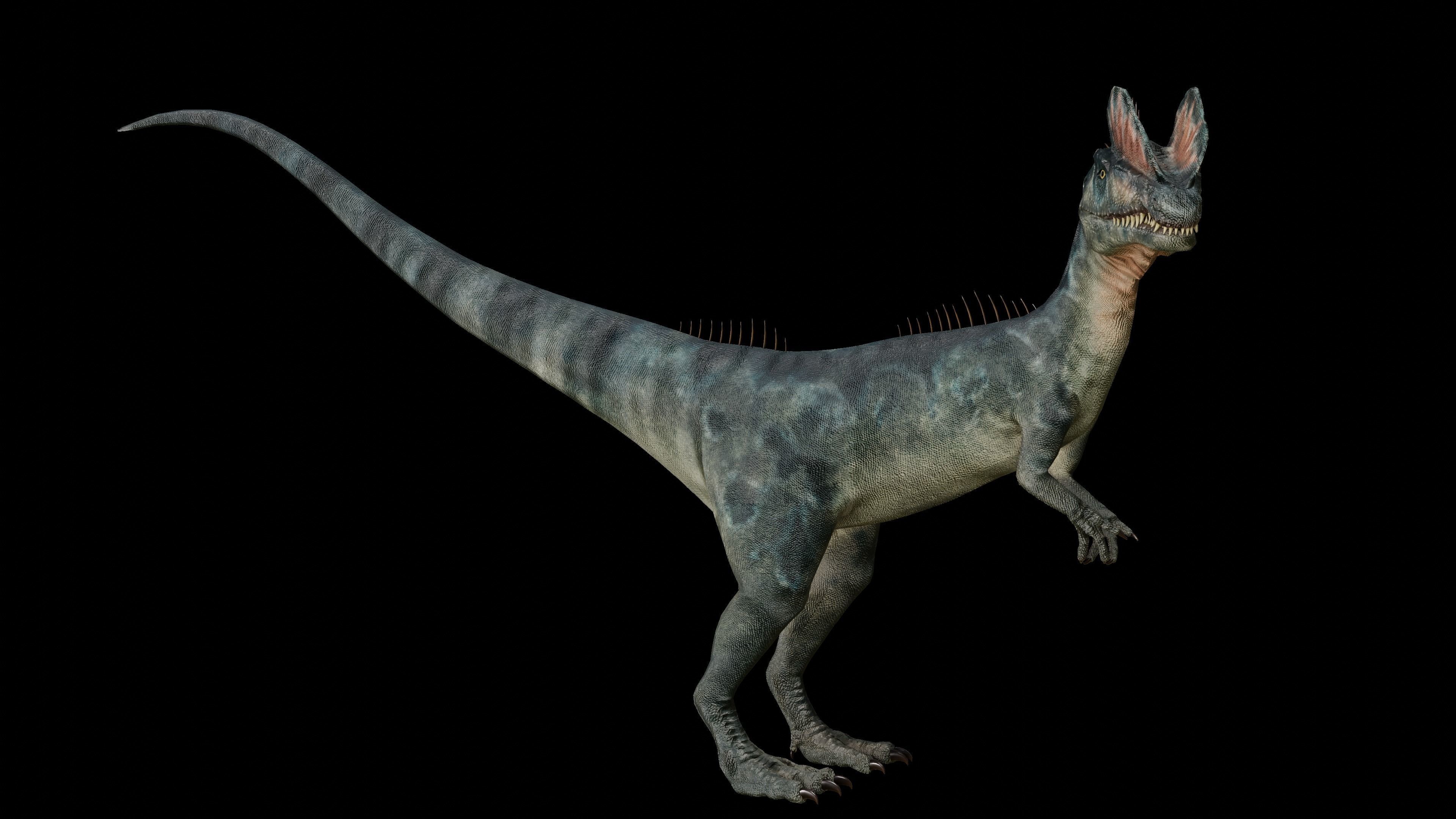 Dilophosaurus 3D Model dinosaur Low-poly 3D model_13