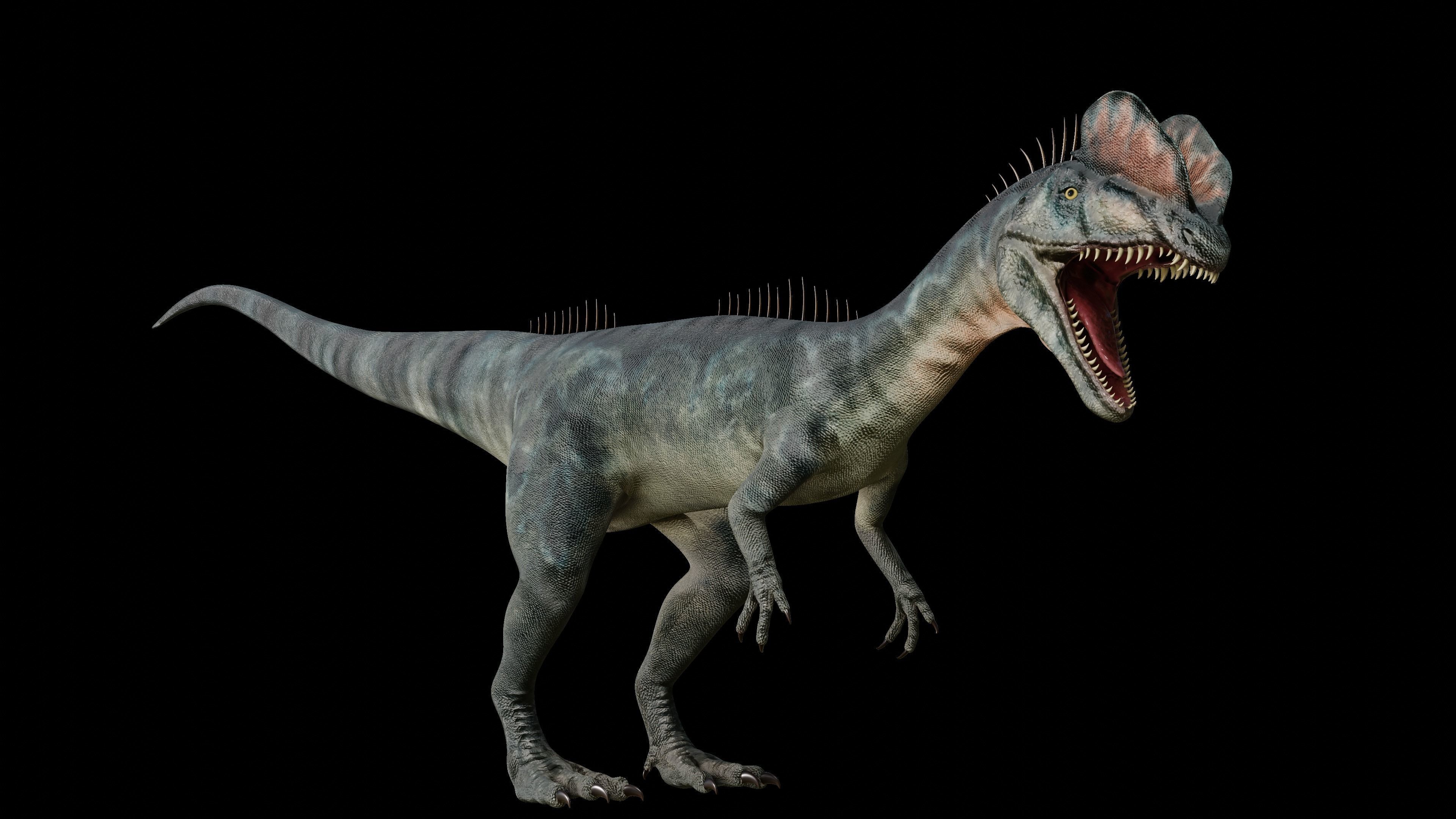 Dilophosaurus 3D Model dinosaur Low-poly 3D model_35