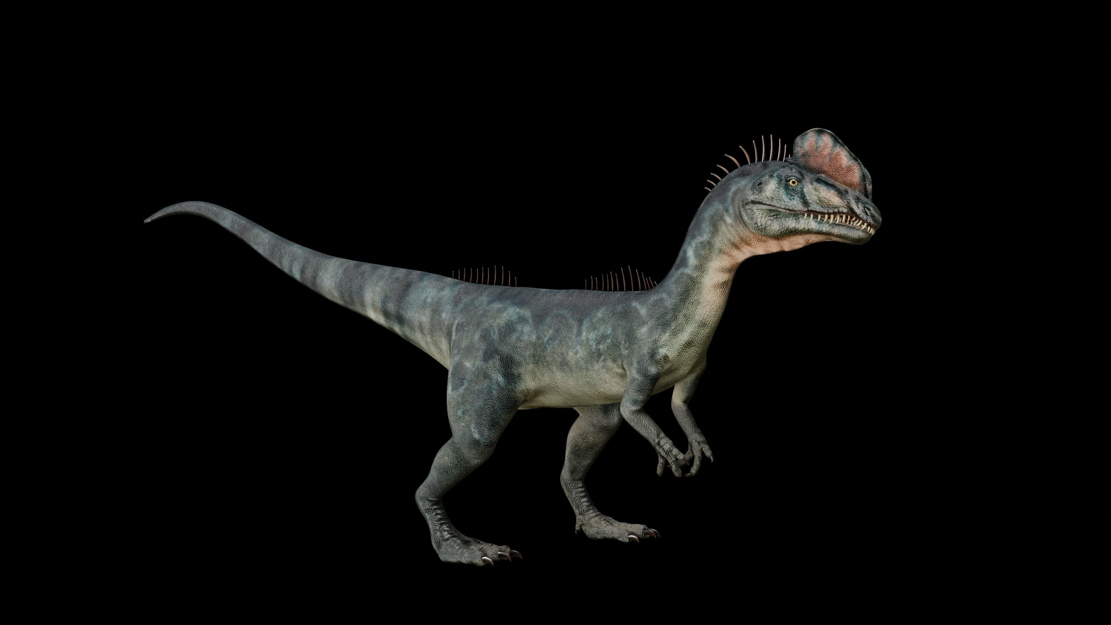 Dilophosaurus 3D Model dinosaur Low-poly 3D model_3