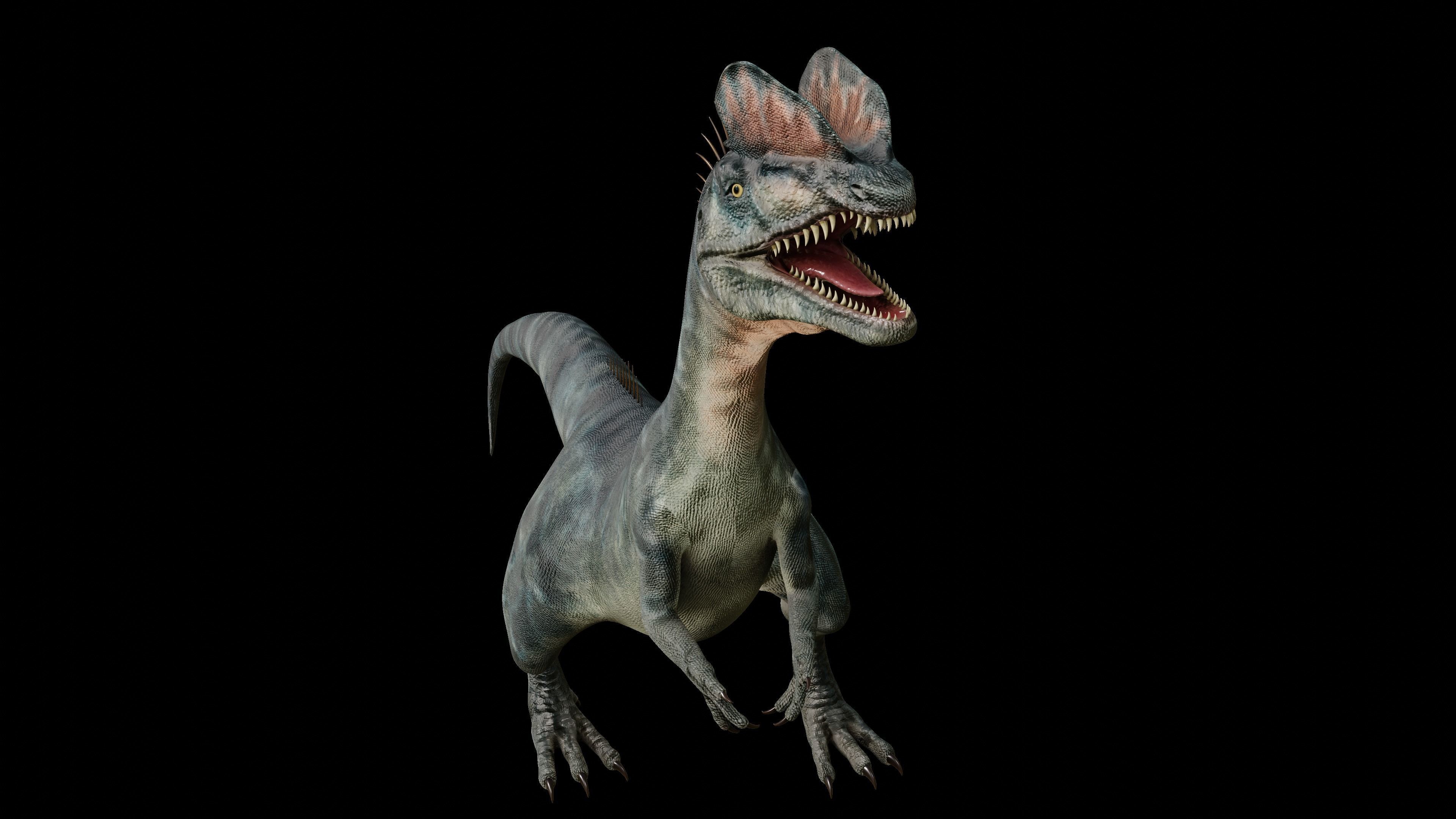 Dilophosaurus 3D Model dinosaur Low-poly 3D model_31